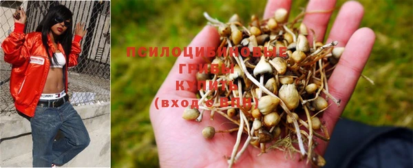 крисы Пролетарск