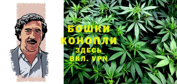 сатива Покровск